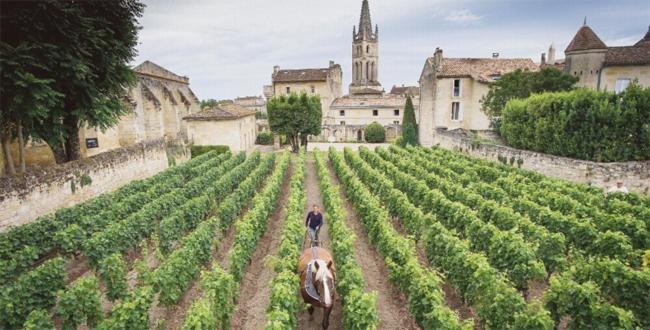 Clos Bernon Libourne Luaran gambar